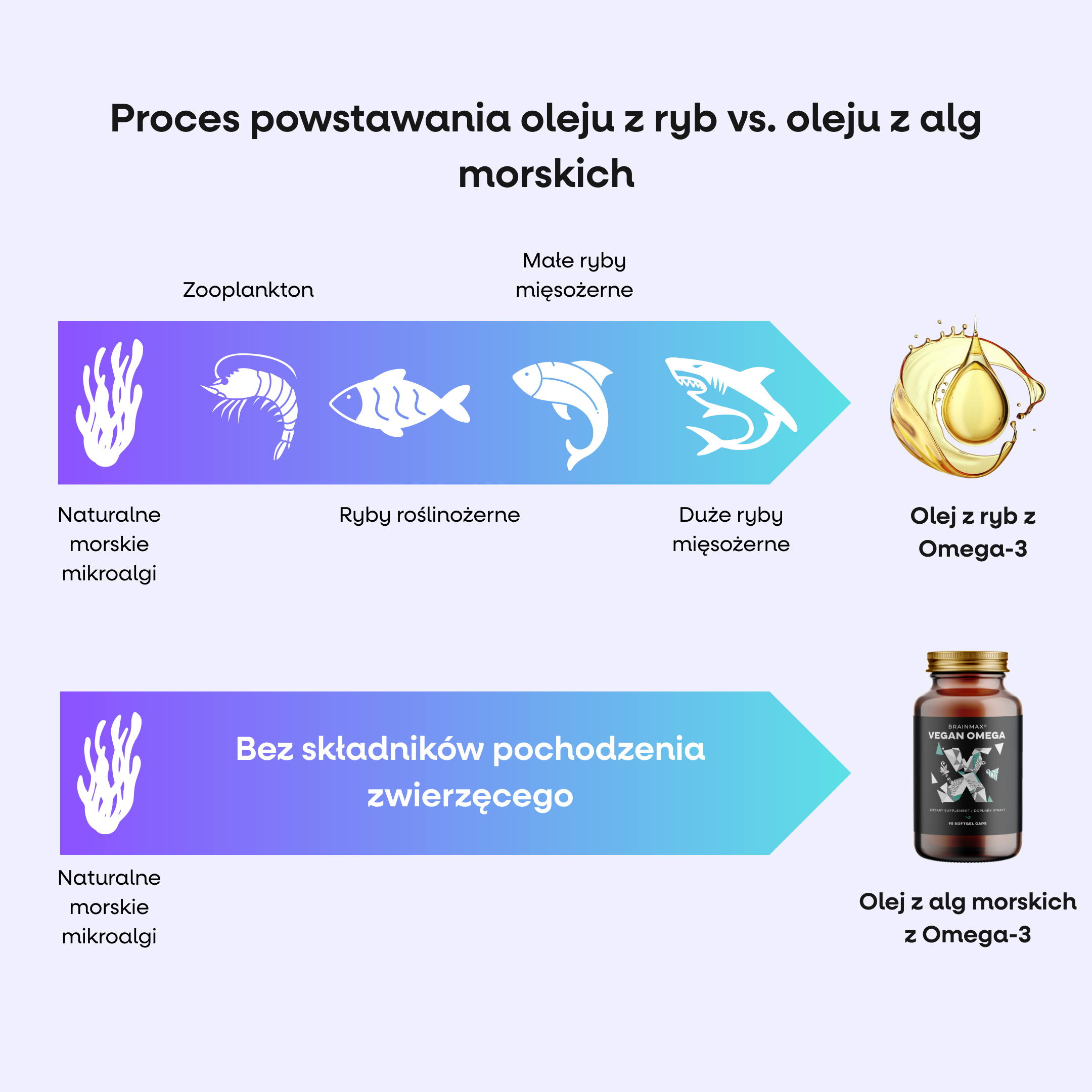 (Polština) - 2025-09-25T135513.818
